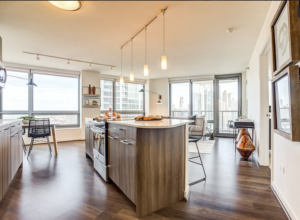 Now Renting, Luxury 1 Bedroom Apartment in Chicago’s River North